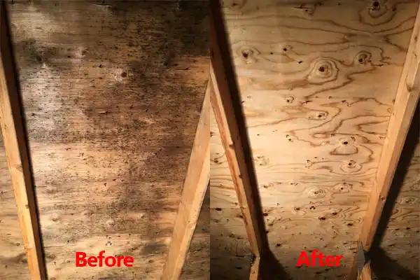 water damage restoration service Southaven
